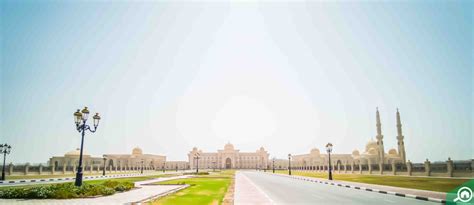 university city of sharjah|Degrees & Programs Undergraduate .